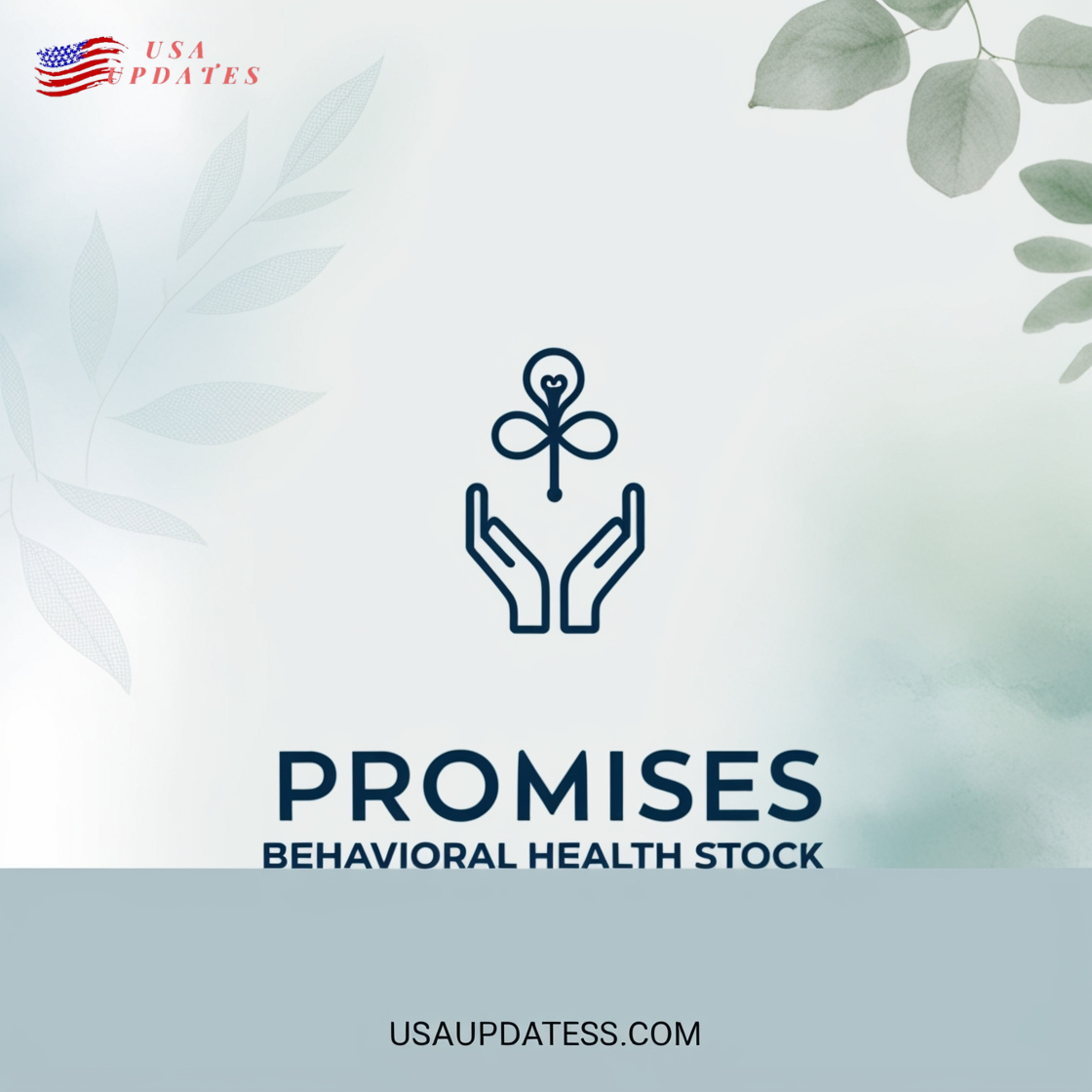 Promises Behavioral Health Stock